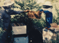 about-hislops-wholefoods