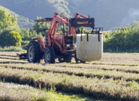 gallery-hislops-production-flowers
